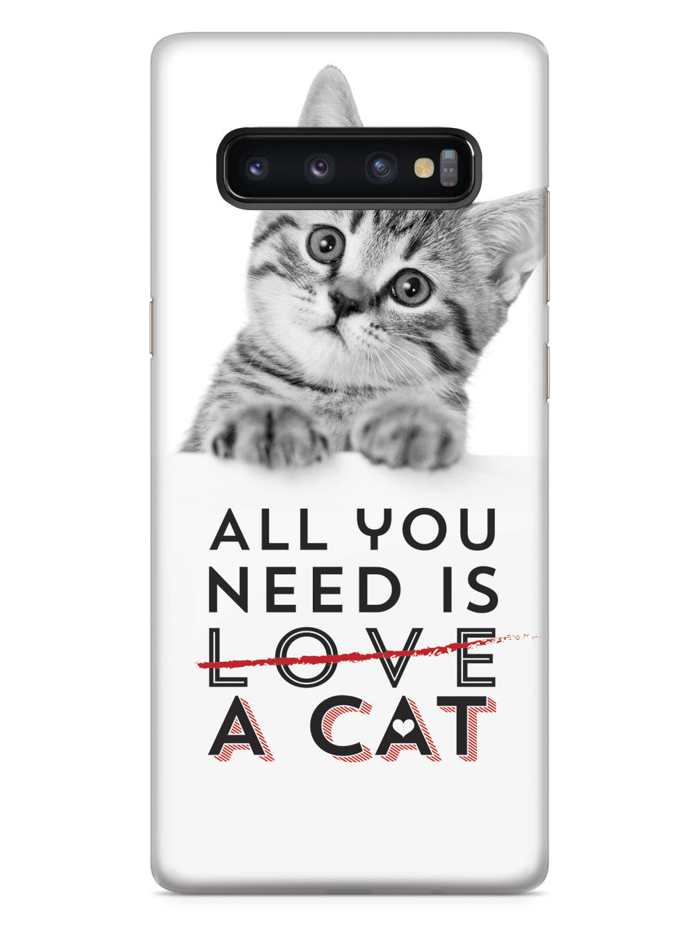 All You Need is a Cat Case