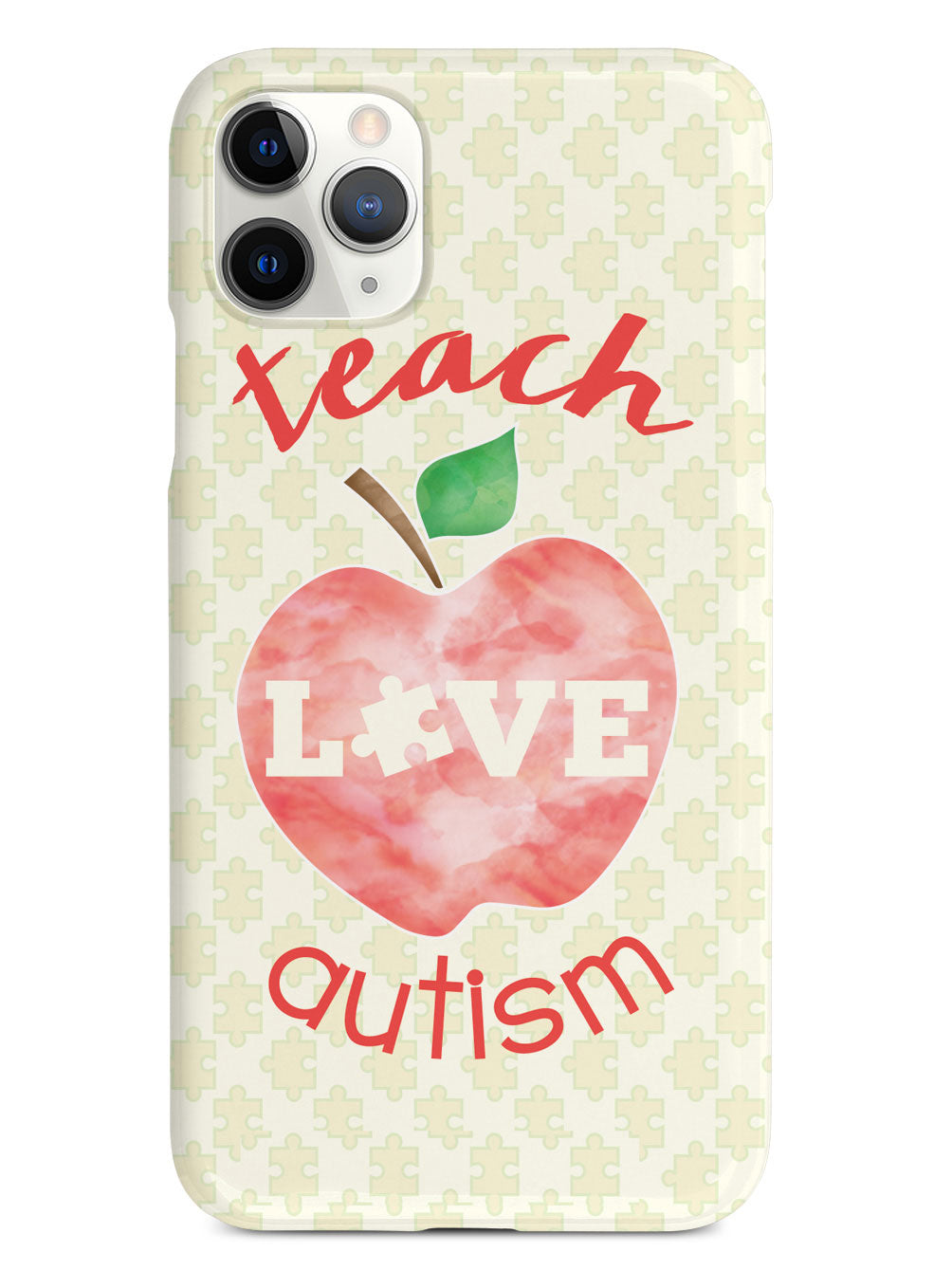 Teach Love Autism Case