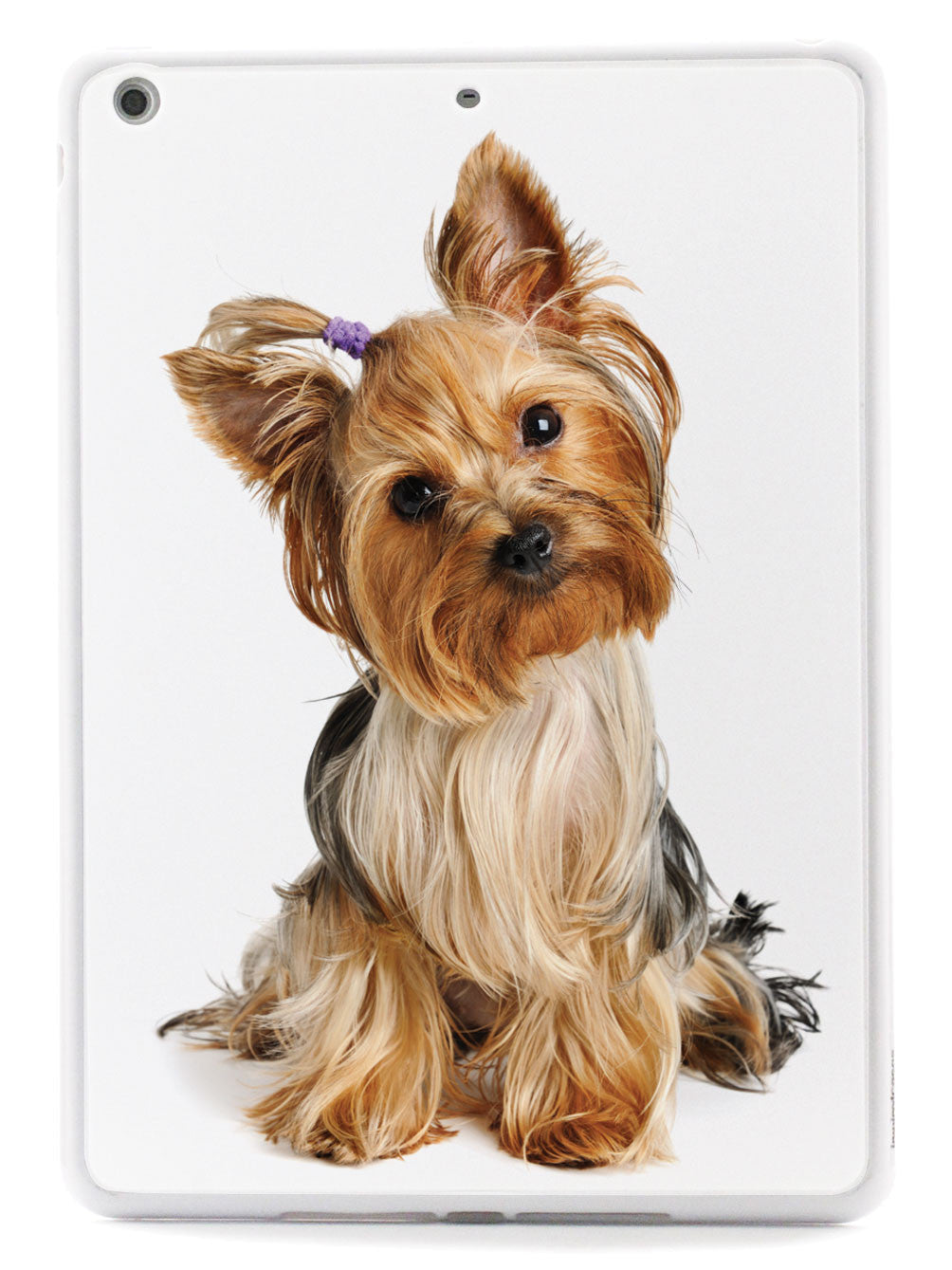 Yorkshire Terrier with Bow Case