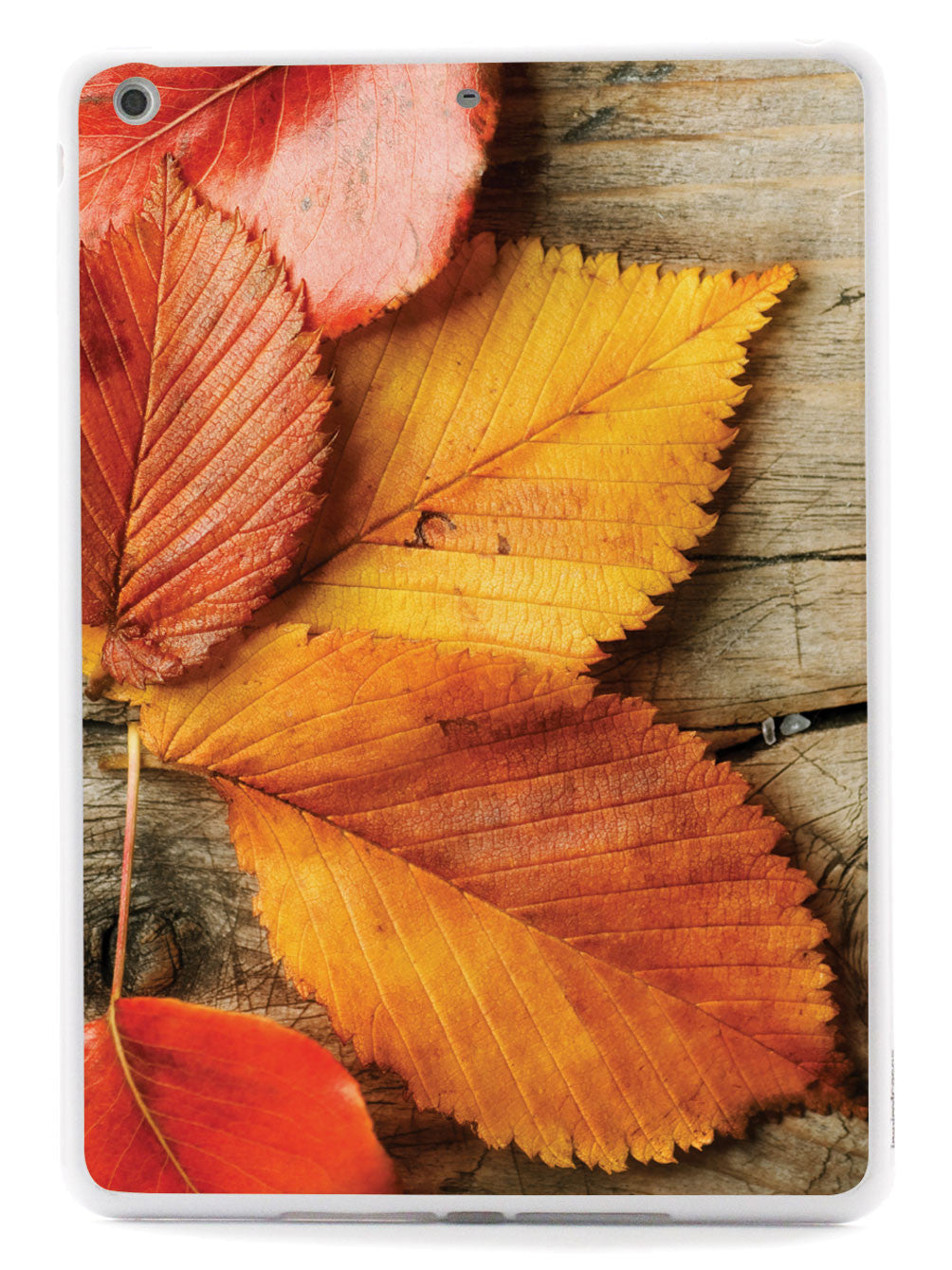 Autumn Leaves Texture Case