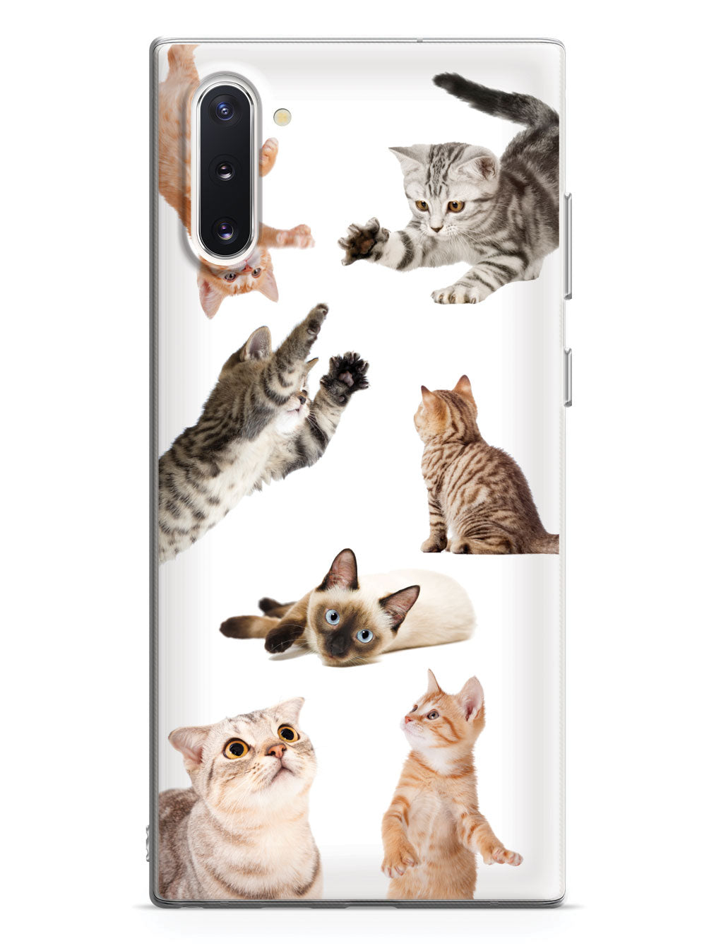Funny Cats Case