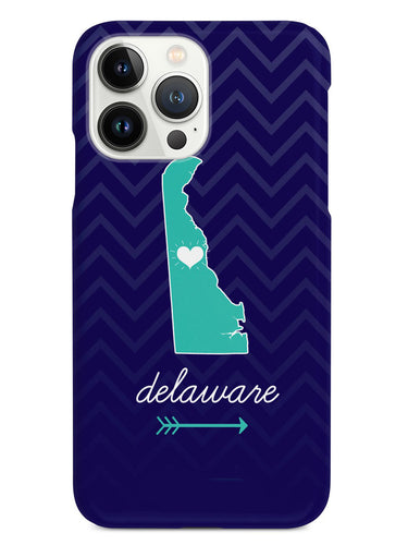 Delaware Chevron Pattern State Case