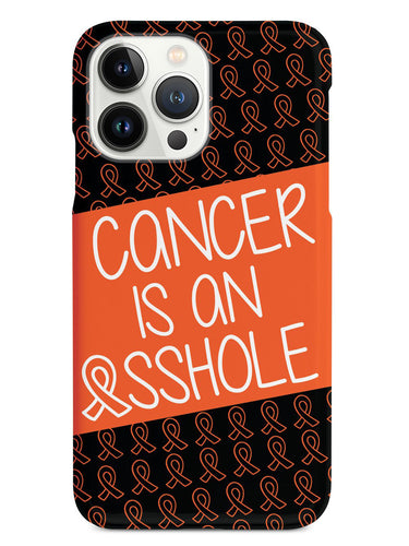 Cancer is an ASSHOLE Orange Case