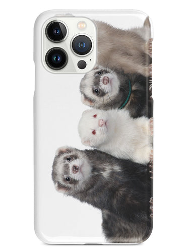 Ferrets Animals Humor Funny  Case
