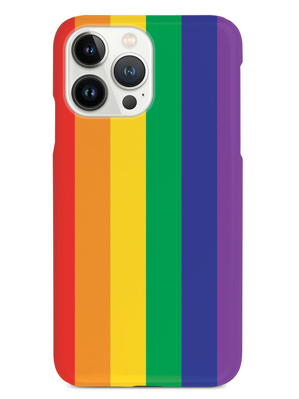 LGBT Pride Flag Case