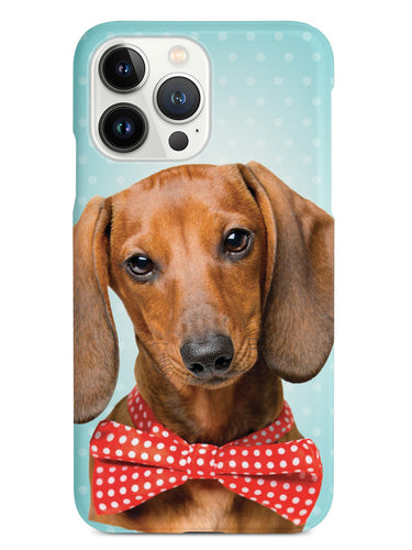 Dachshund and Polka Dots - Real Life Case