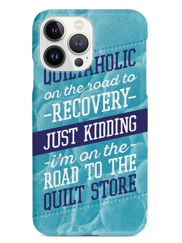 Recovering Quiltaholic - Quilt Case