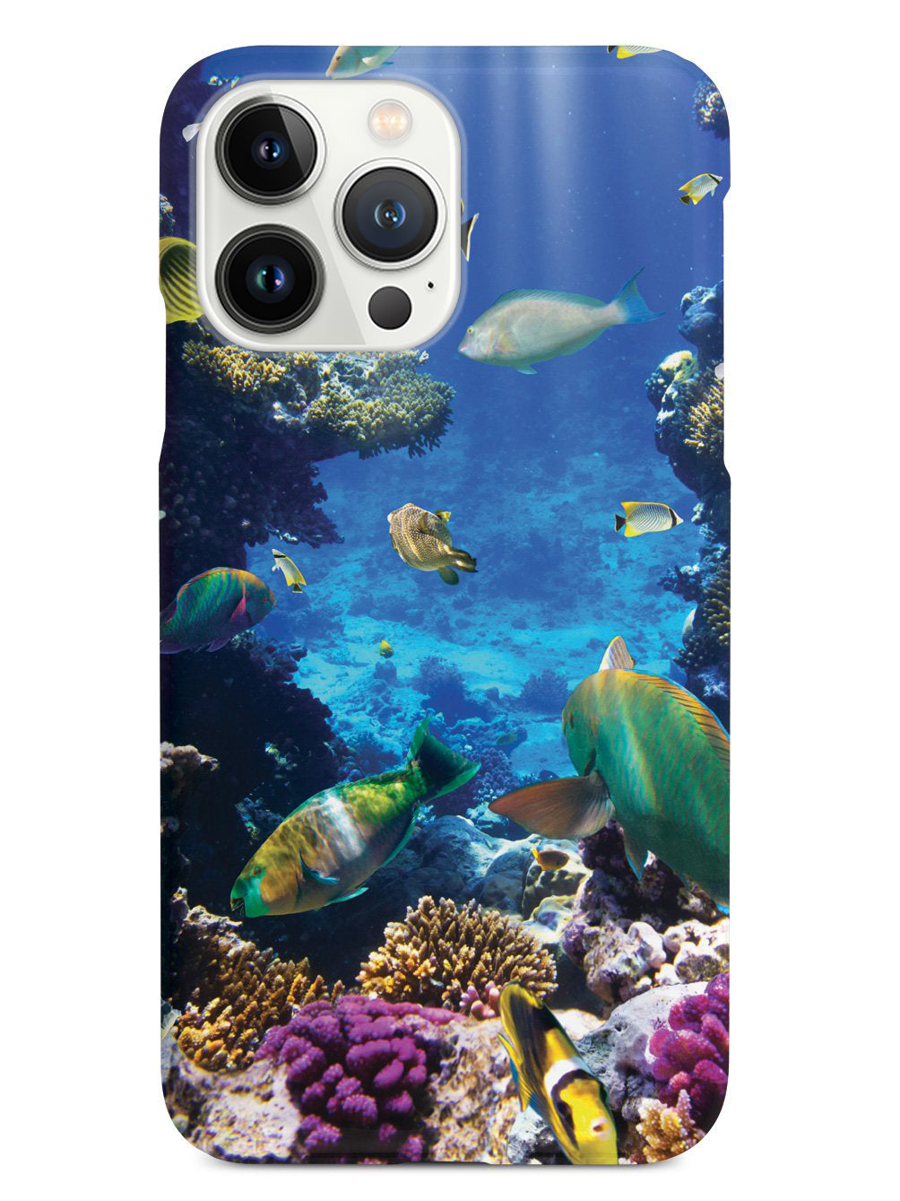 Tropical Fish Case – InspiredCases