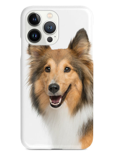 Shetland Sheepdog - Sheltie Case