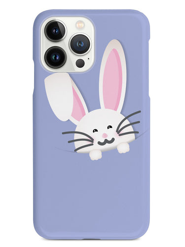 Peek-a-boo Bunny Case
