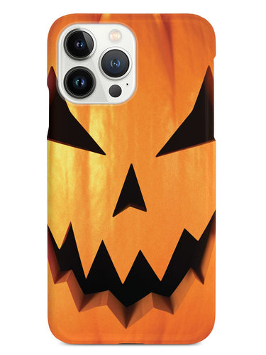 Jack-O-Lantern Pumpkin Case